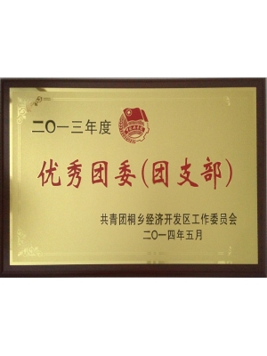優(yōu)秀團(tuán)委(團(tuán)支部)
