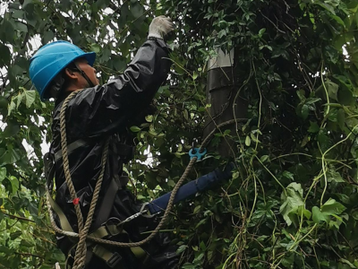 為戰(zhàn)臺(tái)風(fēng)保供電，創(chuàng)輝電氣這樣做